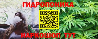 стаф Кимры