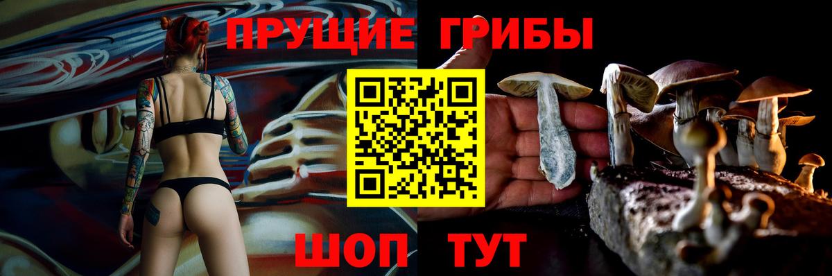 Псилоцибиновые грибы Psilocybine cubensis  Вход с VPN  Троицк 